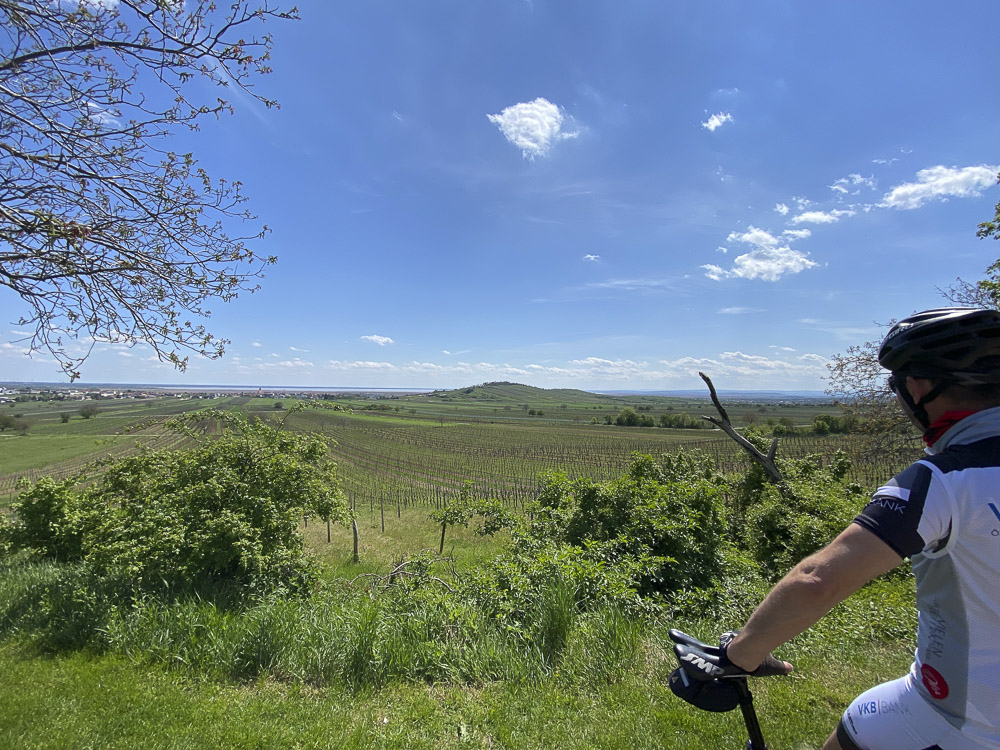 Kirschblütenradweg Neusiedlersee