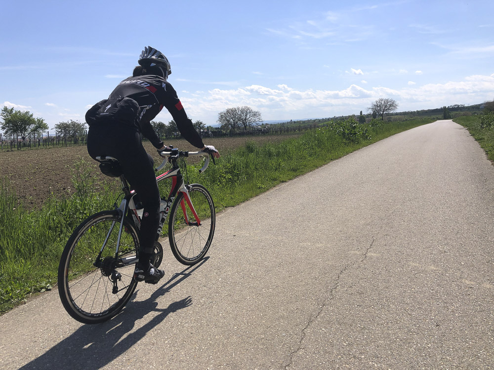 Kirschblütenradweg Neusiedlersee