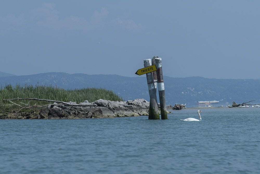 Kajaktour Isonzo