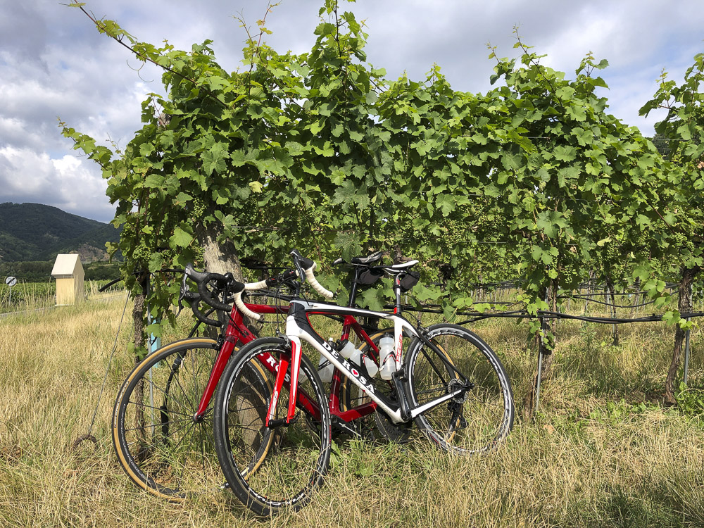 Rennrad Tour Wachau