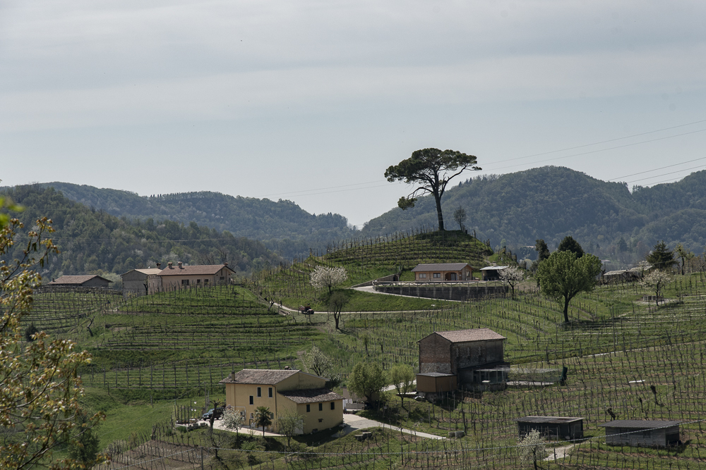 Radtour Prosecco Hills