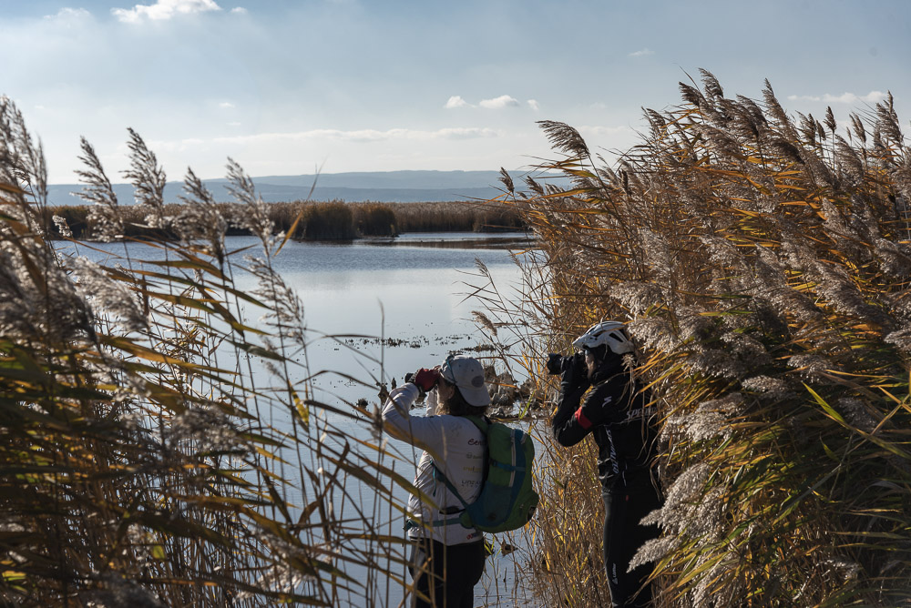 Neusiedler See Nationalpark