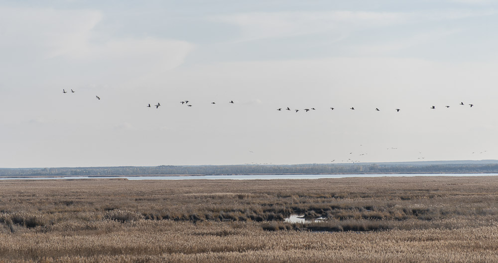 Nationalpark Neusiedler See Seewinkel