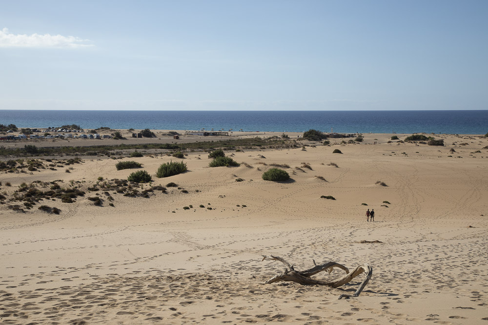 Dune di Piscinas